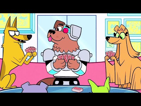 Teen Titans Go! | Animals Alive Part II | DC Kids Teen Titans Go! | Animals Alive Part II | DC Kids